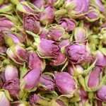 طرح صنعتی خشک سازی گل و گیاه با فناوری فریز درایر