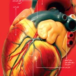دانلود پروژه آمار تعداد افراد خون دهنده