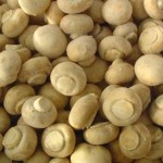 طرح توجیهی پرورش قارچ خوراکی 50 تن در سال
