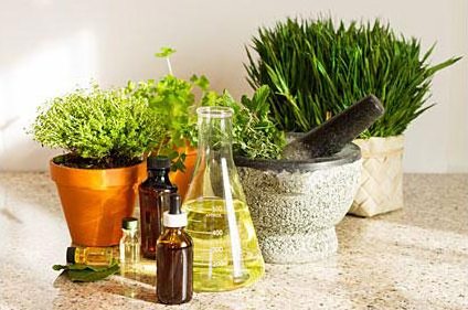 تولید اسانس از گیاهان دارویی