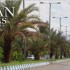 مقاله آشنایی با شهرستان طبس