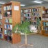 مقاله جایگاه و افول کتابخانه های تمدن اسلامی در ایران