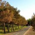 بررسی عوامل محیطی جغرافیایی و انسانی پارک چیتگر