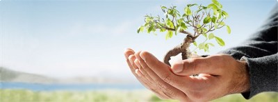 دانلود مقاله تاریخچه بیمه