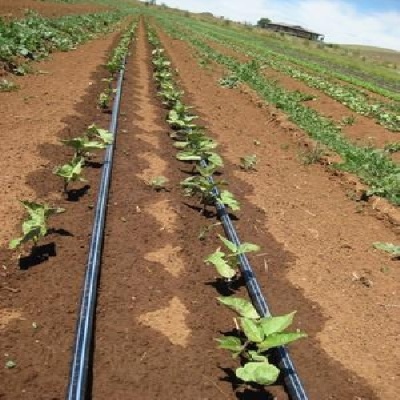 پاورپوینت آبیاری قطره ای ۲۷ اسلاید